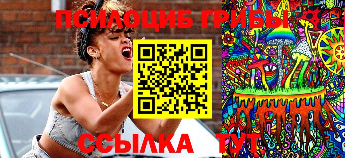 сколько стоит  Галлюциногенные грибы Psilocybe  Вход с VPN  Керчь 
